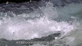 中国最“诡异”的一条河流，两岸毒蛇成群，一到下雨天就变血红色