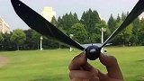 老外发明“飞鸟无人机”，没有螺旋桨，飞行跟真鸟毫无差别
