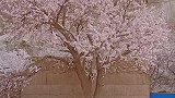 大山深处的塔吉克族