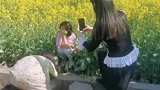 每一个作品都来之不易，珍惜给你拍照的朋友吧