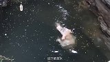 狗狗掉进深渊精疲力尽，有人发现它时，露出无助的眼神
