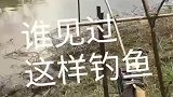 有谁见过这样钓鱼的吗
