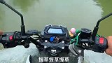 鸭子活这么久，终于如愿以偿的下水了