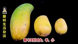 今天才知道，芒果皮上划一刀别提多实用，方法家家能用到