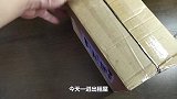 救过来的黑鱼一夜之间惨遭毒手，皮开肉绽惨不忍睹，凶手竟然更惨