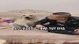 事实证明，狗狗真的能听懂人话，画风真逗！