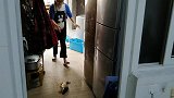 慧慧做酸菜鱼了，鱼片嫩滑，鱼排酥香，酸菜下饭，鱼汤还能泡饭吃
