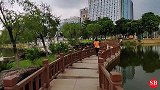 广州国际生物岛发现奇葩动物，长相酷似蜗牛，这是什么物种？