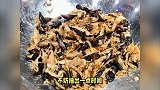 炒米粉是一道深受喜爱的家常菜，不仅色香味俱佳，而且制作简单