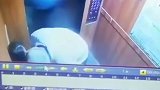 广西某小区一名老人在电梯内侵犯女童 警方已介入调查