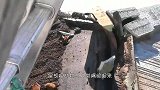 男子发现屋顶总是漏雨，上屋顶一查看，可把自己吓了一跳