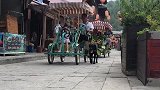 游客都以为我带了了个警犬