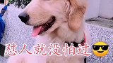四毛怼人功力妥妥的