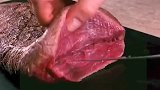 各种蔬菜被肉包裹起来，改变了它的价值