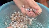 大型珍珠市场能人多，清洗珍珠你以为是用水，其实大家都想错了！