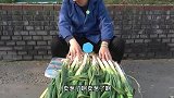 傻小子卖大葱不会算账，美女为贪便宜连买三天，第三天亏大了