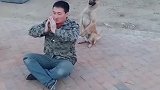 狗子：我要给主人学学拜佛！