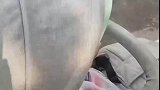 孩子在后座闹着闹着没了动静，妈妈回头一看，傻眼了
