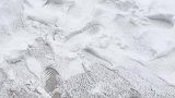 下大雪，怎么能少的了显眼包