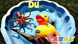 乐享动物乐园带你认识长满吸盘的章鱼和海龟