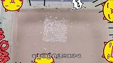 不用胶水，假水秒变粉丝冰山！狂加淀粉剃须泡，无硼砂真能成型吗