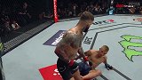 UFC-17年-UFC217慢镜头看比赛：冠军易主之夜 GSP演绎王者归来-专题