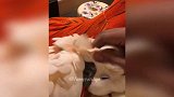 好可爱的鹦鹉，一直被主人玩弄着，看着很是蠢萌啊！