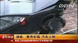 湖南：离奇车祸汽车上树