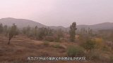 南京出土“水上漂”古墓，专家挖山发掘，原来墓主人是朱元璋后代