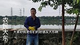 “恶意讨薪”是侮辱的词听听大东是咋说的