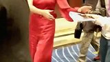 万茜颜值高演技还好却一直不火，是真的红不了，还是不想红