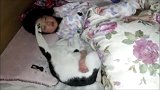 小女孩从小和猫咪一起睡，结果长大这睡姿完全遗传了喵，没谁了