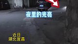 狗狗是陪伴，也是家人