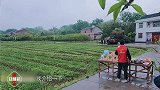 李诞陈赫被发配种树，喊累拖延惹怒黄磊，张艺兴大抢购冲第一