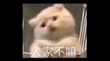 我家哥哥很好，别尬黑