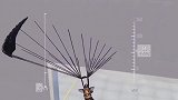 石头哥这俩兄弟太可爱了吧