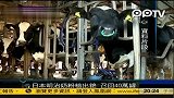 日本明治奶粉被检测出放射性物质铯