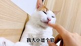 听谁的听我的!