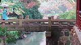 游兴正酣。纵秋雨点点沾轻衫，微寒，意兴不减。