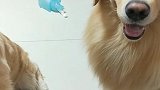 太笨了哈哈想吃就不和你握