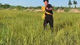 我这海鲜怎么样？有想吃的吗？哈哈