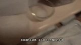 两头猪牵着猫咪遛弯，画面毫无违和感，网友：太有爱了