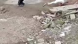 男孩勇斗大鹅，我小时候有他一半功力也不至于被大鹅追着跑！