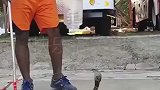 眼镜蛇跑进村子里，印度消防员一个塑料袋，就轻松搞定了