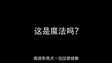 一只不擅长躲猫猫的猫猫。找到你啦！