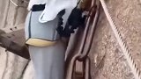 两千米的高峰，妈妈，我还可以要纸尿裤吗