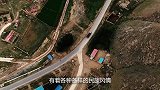 中国又一动物泛滥成灾，政府放“大招”，设高额赏金鼓励抓捕