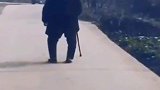 老奶奶不动，我是一点也不敢动，我只能一动不动
