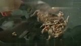 美食DIY-20111109-如何做青椒肉丝蛋炒饭