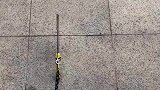 疯狂遛狗遛猫，竟然还有遛刀绝技